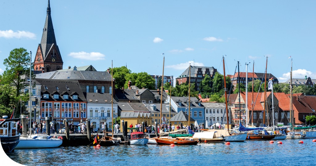 Master of International Management Studies at the European University of Flensburg, Germany