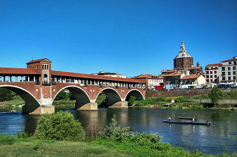 Master of Molecular Biology and Genetics at University of Pavia, Italy